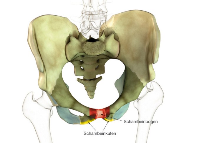 Diagnose Beckenschiefstand Gebiomized